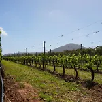 Vakantieboerderij Casale Degli Ulivi Alghero Santa Maria la Palma