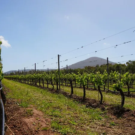 Vakantieboerderij Casale Degli Ulivi Alghero Santa Maria la Palma